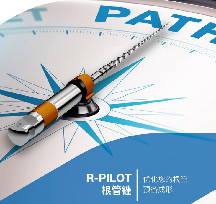 �¹�VDW Root canal instruments���Ƹ������